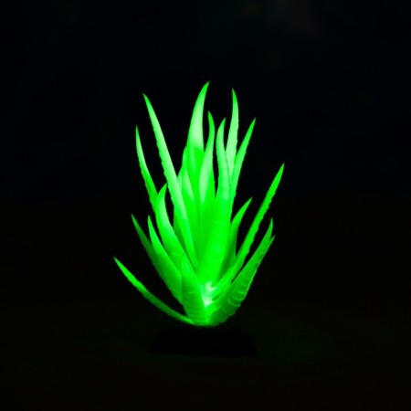 The plant is artificial aquarium, luminous, 10 cm, green-4