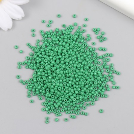 Glass beads 12/0 "coniferous" bright 450 g-1