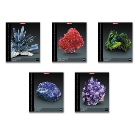 Notebook 48l Erichkrause "Encyclopedia: Minerals", mix
