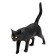 Toy - surprise "Pets. Cats "