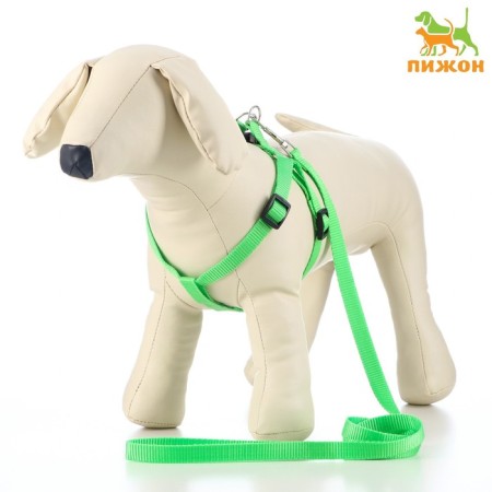 Set "Basis", leash 120 x 1.5 cm, OG 32-46 cm, green