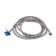Flexible Aquakratos, 300 cm, stainless steel nut, stainless