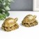 NECK Polystone for bronze "Two scoops with symbols on the shells" set 2 pcs 3.5x5.5 cm