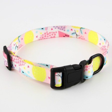 Collar "juicy mood", fastener - fastx, 2.5 cm, 40-55 cm-3
