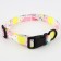 Collar "juicy mood", fastener - fastx, 2.5 cm, 40-55 cm