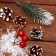 New Year's set "Snow"