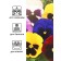 Viola seeds "Variet", F1,