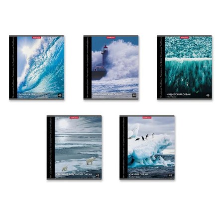 Notebook of 48 sheets in the Erichkrause Ceal Five Oceans, cover coated cardboard, offset block, whiteness 100%, mix