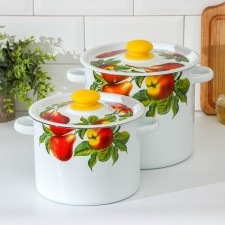 Set of pots “Summer Gifts”, 2 subjects: 3.5 l, 5.5 l, induction