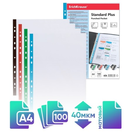 A4, 40 μm, Erichkrause Standard Plus, embossing, vertical, with a colored strip, 100 pieces