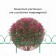 Decorative fence, 50 × 295 cm, 5 sections, metal, green, "classic 2"