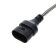 LED lamp DLED HB4 9006, C6 Original, 12V, 6500K, in a set 2 pcs