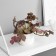 Bonsai in the pot "Painting Pelargonium Lux" (soft sheet) 9x6 cm, mix