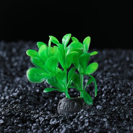 The artificial aquarium plant is small, 6 cm-1