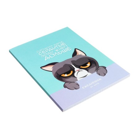 The diary is notathered on the A5 glue 64 sheets, the soft cover "Angry Cat"-2
