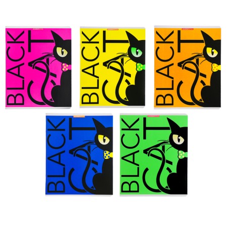 Notebook of 48 sheets in the Black Cat cage, covered cardboard, fluorescent paints, mix