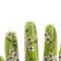 Polyester gloves are garden, with nitrilum dousy, size 8, color mix, Palisad