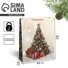 Package Gift New Year Laminated 