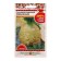 Celery seeds root Gribovsky 1 g