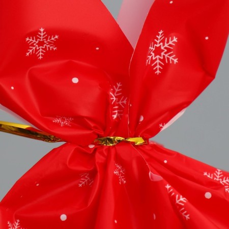 Gift bag with ears "Gift from Santa Claus", 12 x 11.5 cm, New Year-5