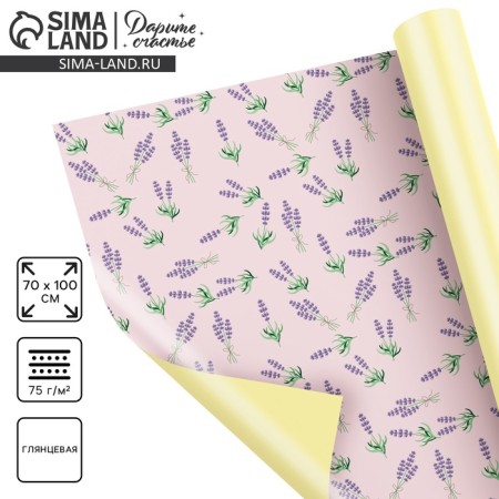 Paper packing gloss double -sided "lavender", 70 x 100 cm