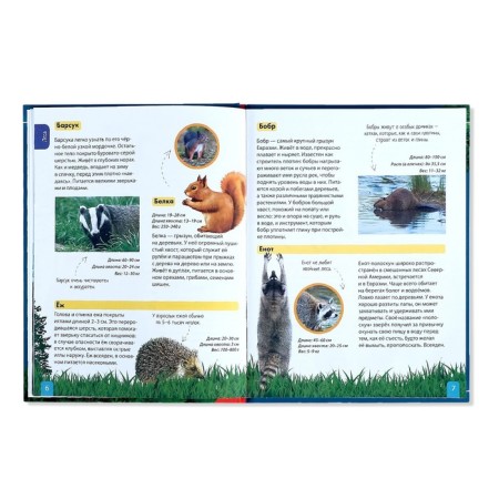 Children's Encyclopedia in solid binding "Animals", 48 p.-3