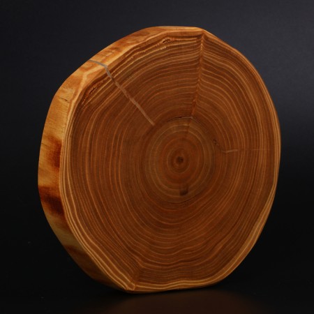 Grootboard from the saw of Wild Kitchen, D = 160-200 mm, thickness 30 mm, a solid massif of the cedar-9