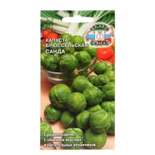 Brussels cabbage seeds 