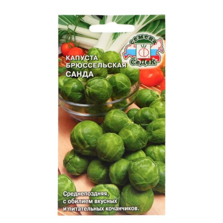 Brussels cabbage seeds "Sanda", 0.3 g
