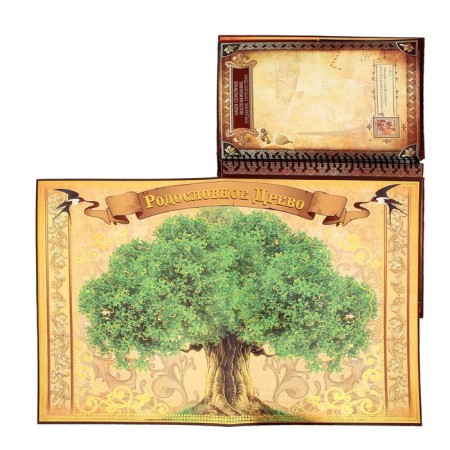 The genealogy book "Family History", 27 sheets, 24.5 x 29.2 cm-9