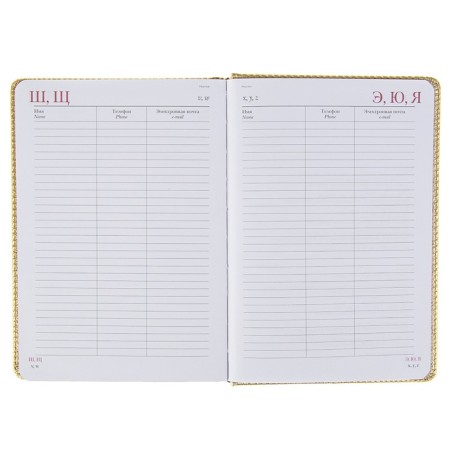 Diary of Leduced A5+, 136 sheets of Sidney Nebraska, solid cover, artificial leather, gold cut, gold-3