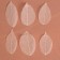 Dry leaves, (set 5 pcs), size 1 pcs :: 8 × 5 cm, white color