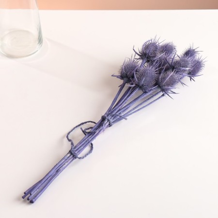 Set of dried flowers "Brush", banch 7-8 pcs, length 50 (+/- 6 cm), purple-3