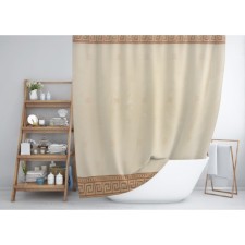 The bathroom curtain 