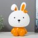 Table lamp "Bunny in the crown" E14 3W orange 16x13x19 cm Risalux