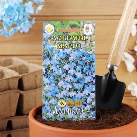 Lobelia flowers ampelous "Margo", o, 8 pcs.-2