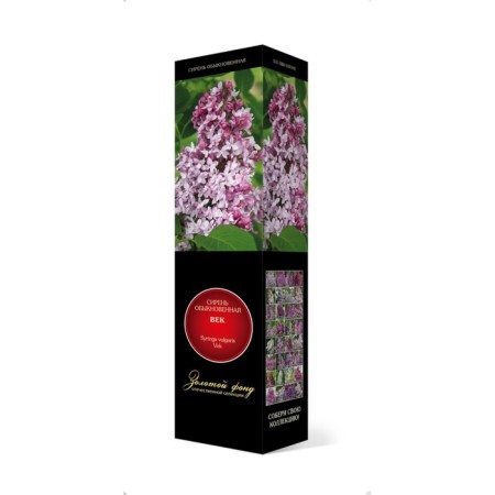 Ordinary lilac "eyelids" 1 pc, tube, spring 2025