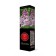 Ordinary lilac "eyelids" 1 pc, tube, spring 2025
