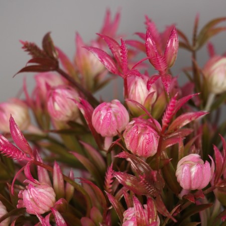 Bonsai in the pot "Lumber flowers" 21x9 cm, mix-1