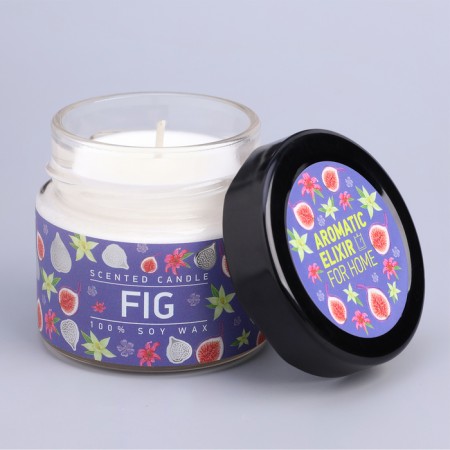 Aromatic candle in the Bank "Ripe Fig", Envisor Wax, 80 g-3