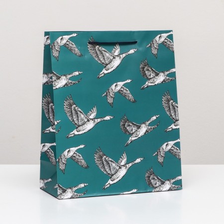 Gift "duck" package 26 x 32 x 12 cm