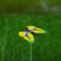 Plug "butterfly Charlene" 3x4cm/30cm, set 25pcs, mix