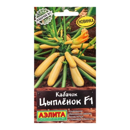 Semen zucchini zucchini "chicken" f1, c/n, 5 pcs