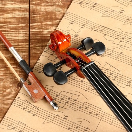 Music Life 4/4 violin, included case and bow-3