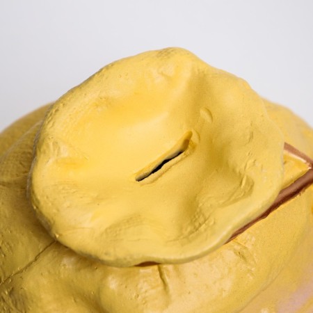 Piggy bank "Carbon bag" yellow 22x27cm-3