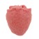 Solonets "strawberries" for rodents, 50 g, box