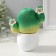 Growing gift Eco -Zhizhivchik "Cactus in a pot" White