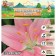Lilia Asian Kashpo "Foxtrot", rr 12/14, 2 pcs, spring 2024