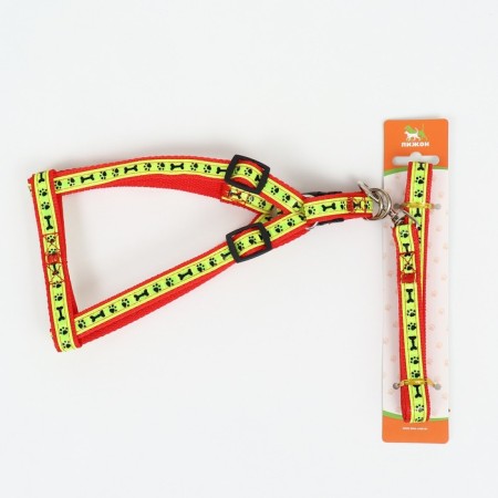 The “Bones and Paws” set of a reflective, leash 120 x 1.5 cm, OG 36-52 cm, red-6