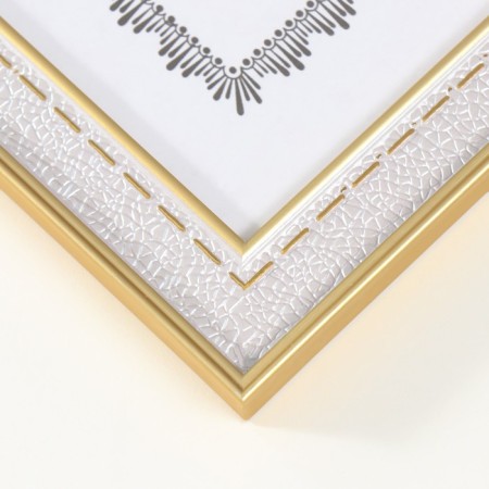 Photo frame Plastic format A4 "Format for the skin with stitches" silver-goldenoto 1.5x24.6x3.3 cm 1049473-1
